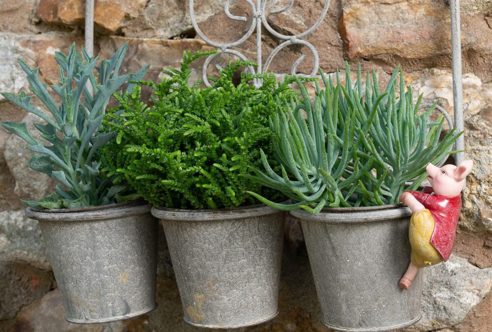 Beatrix Potter Pigling Bland Plant Pot Hanger - Image 6