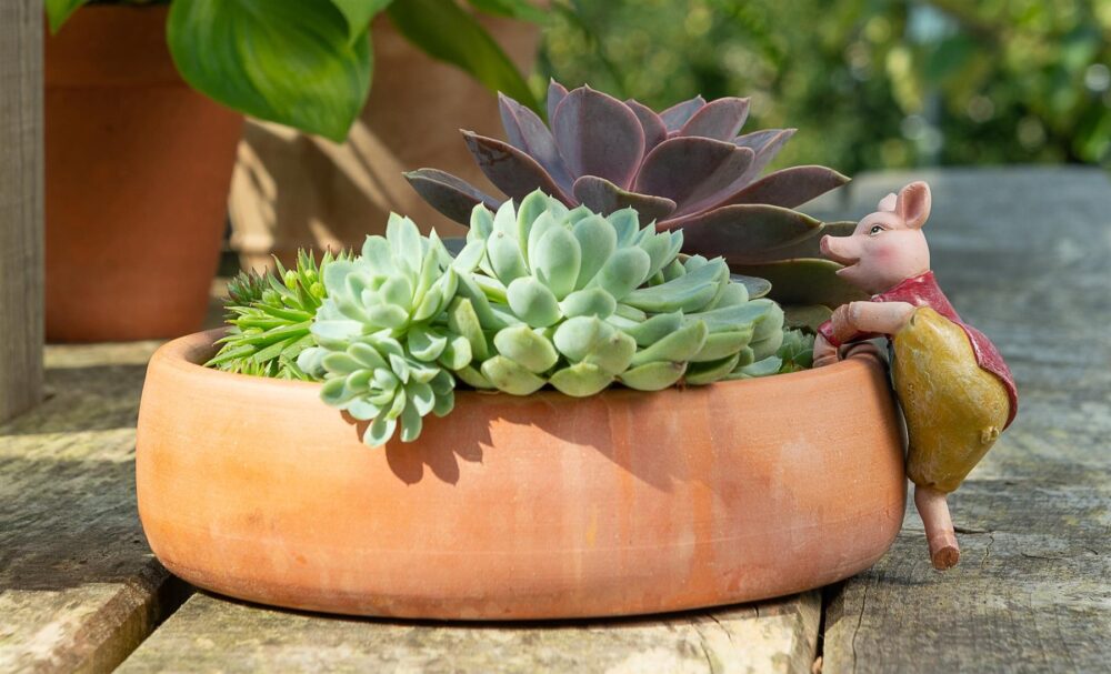 Beatrix Potter Pigling Bland Plant Pot Hanger - Image 3