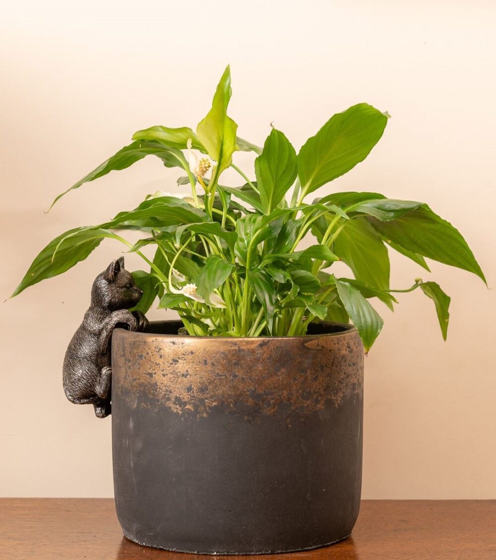 Cat Plant Pot Hanger - Image 3