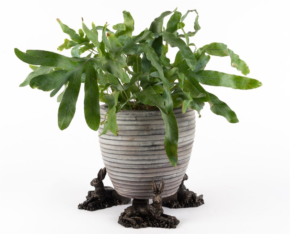 Resting Hare Plant Pot Feet - Set of 3 - Image 5