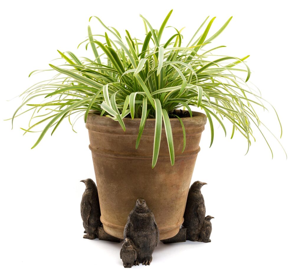 Emperor Penguin Plant Pot Feet - Set of 3 - Image 5