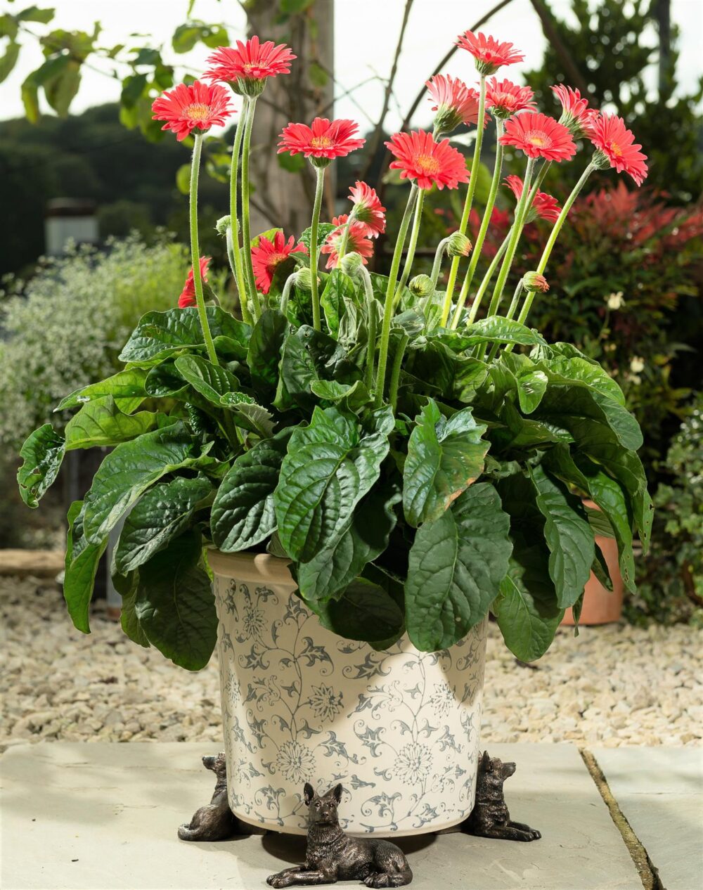 German Shepherd Plant Pot Feet - Set of 3 - Image 3
