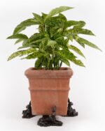 Resting Hare Plant Pot Feet - Set of 3