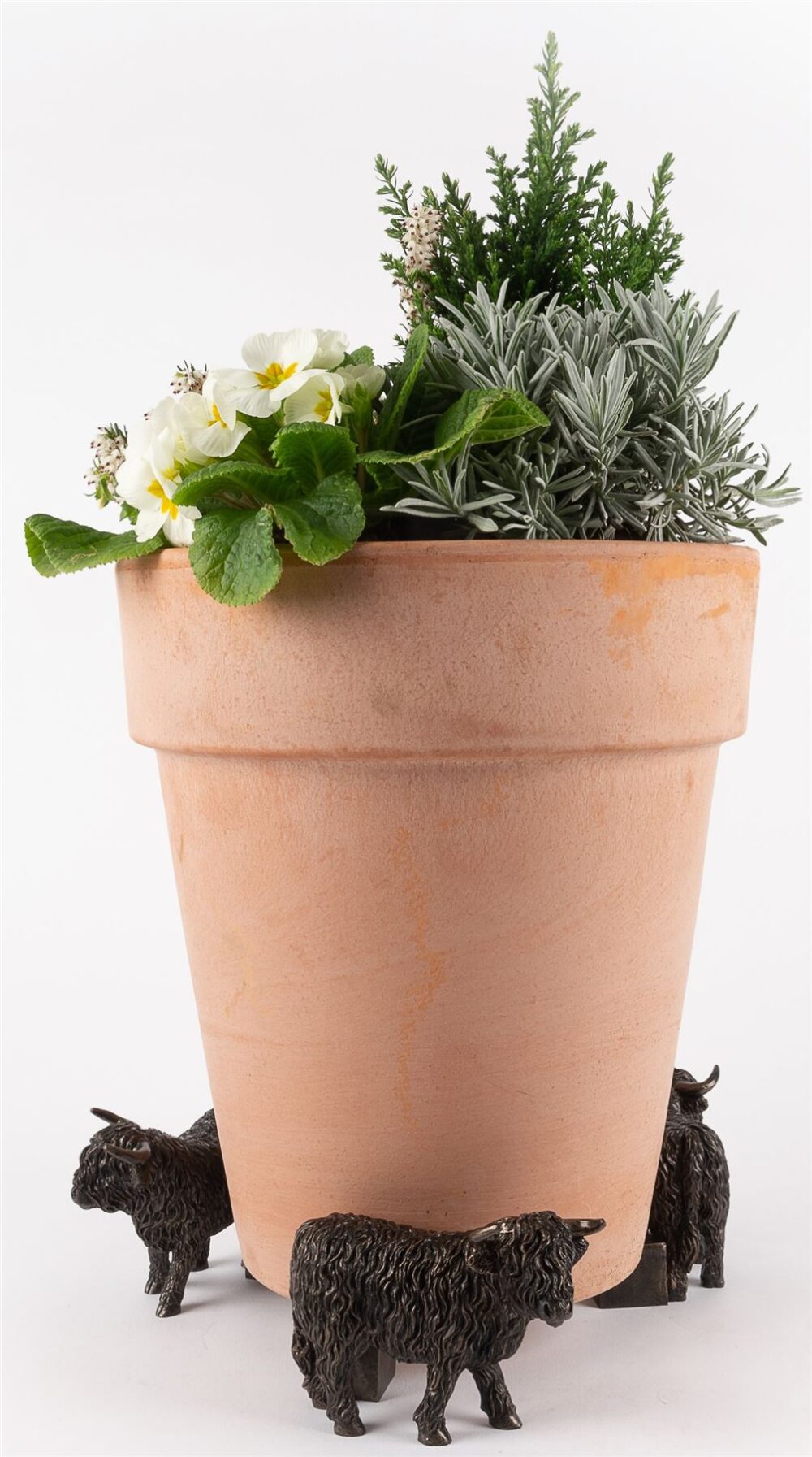 Highland Cow Plant Pot Feet - Set of 3 - Image 5
