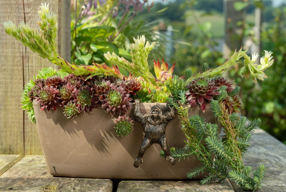 Orangutan Plant Pot Hanger - Image 5