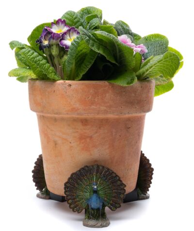 Peacock Plant Pot Feet - Set of 3