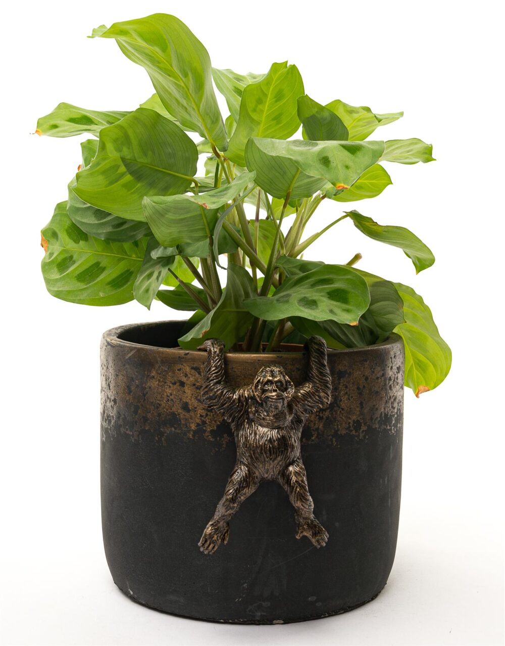 Orangutan Plant Pot Hanger - Image 7