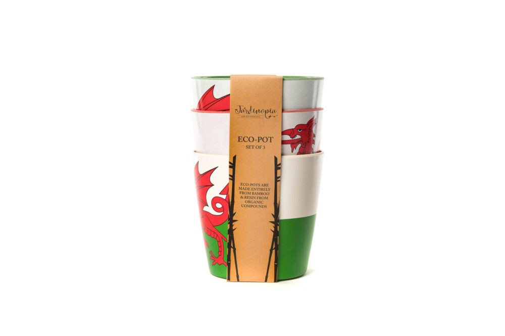 Bamboo Eco-Pots Flags Wales - The Red Dragon Welsh flag- Set of 3 - Image 2