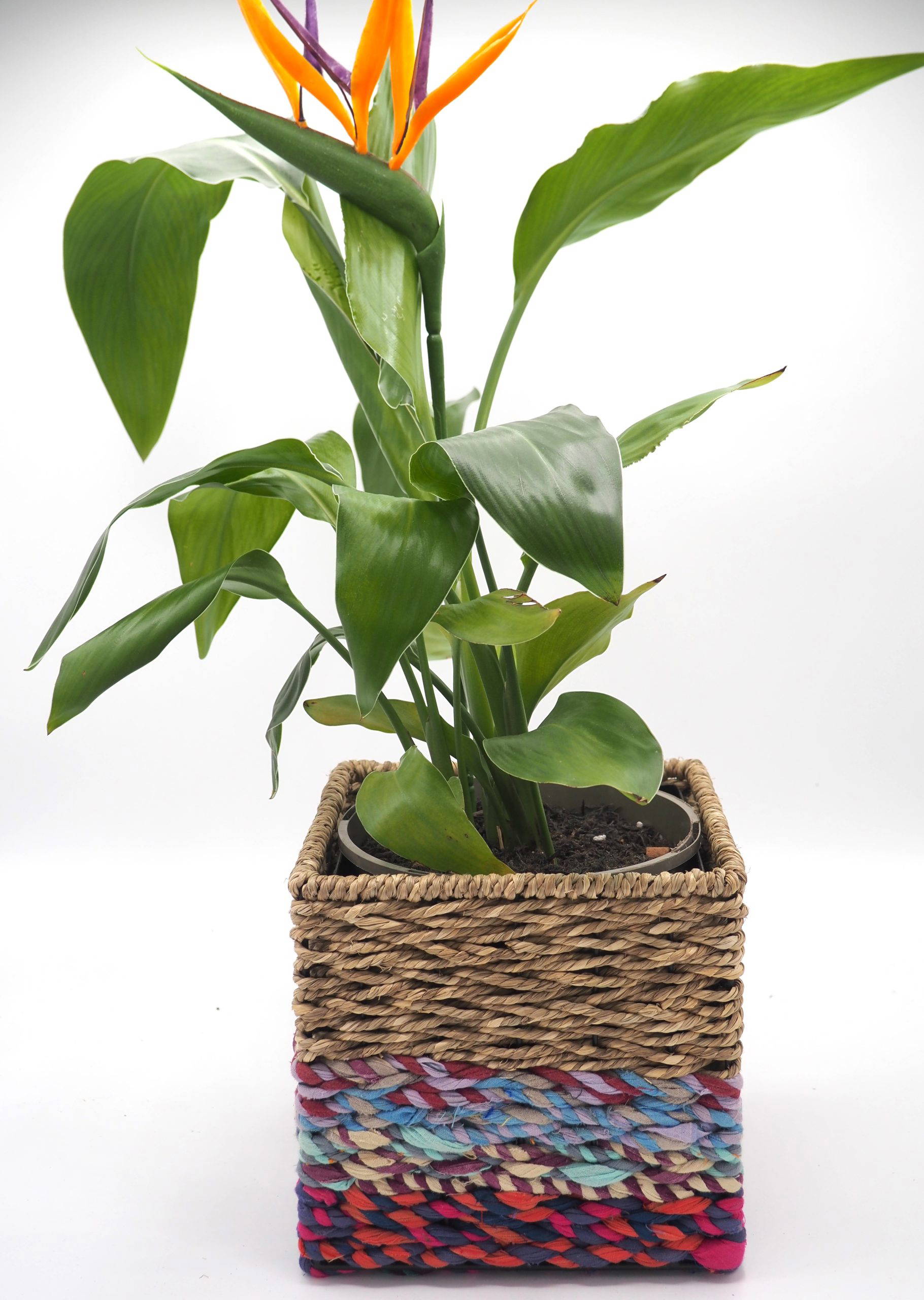 Munja And Reclaimed Sari Fabric Planter – Small - Image 5