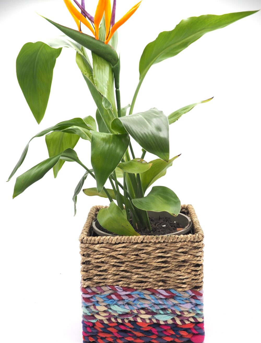 Munja And Reclaimed Sari Fabric Planter – Medium - Image 7