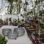Antique Style Galvanized Round Planter Set With Copper Swing Handles And Raised Tripod Feet - Set Of 3