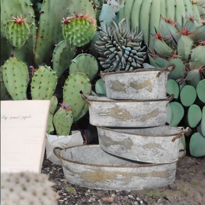 Antique Style Whitewashed  Planter Set Of Succulent And Cacti Trays With Copper Handles - Set Of 4