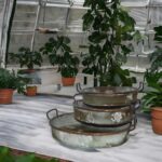 Antique Style Rustic Planter Set Of Succulent And Cacti Trays With Copper Handles - Set Of 3