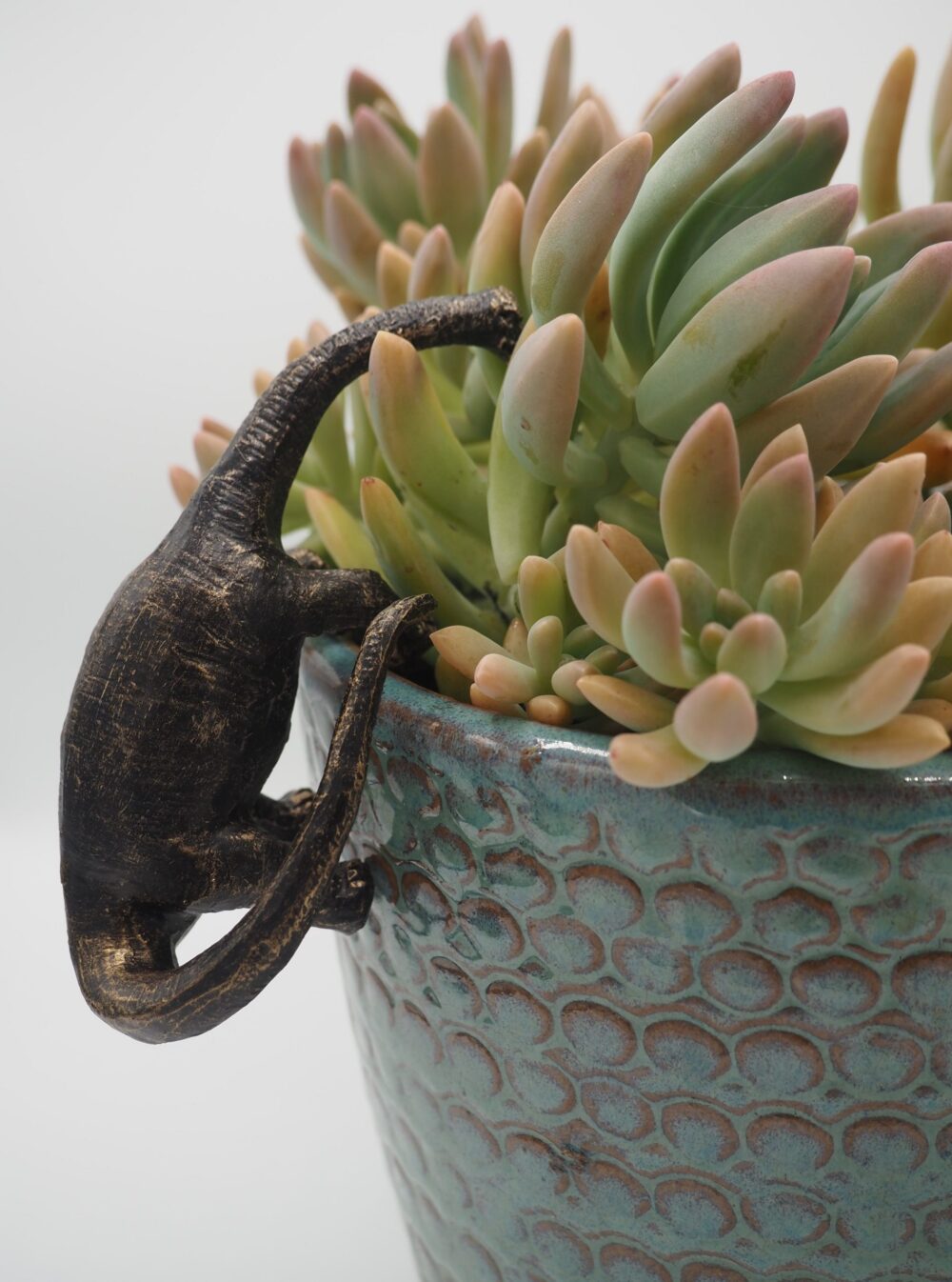 Brachiosaurus Pot Buddies Plant Pot Hanger - Image 9