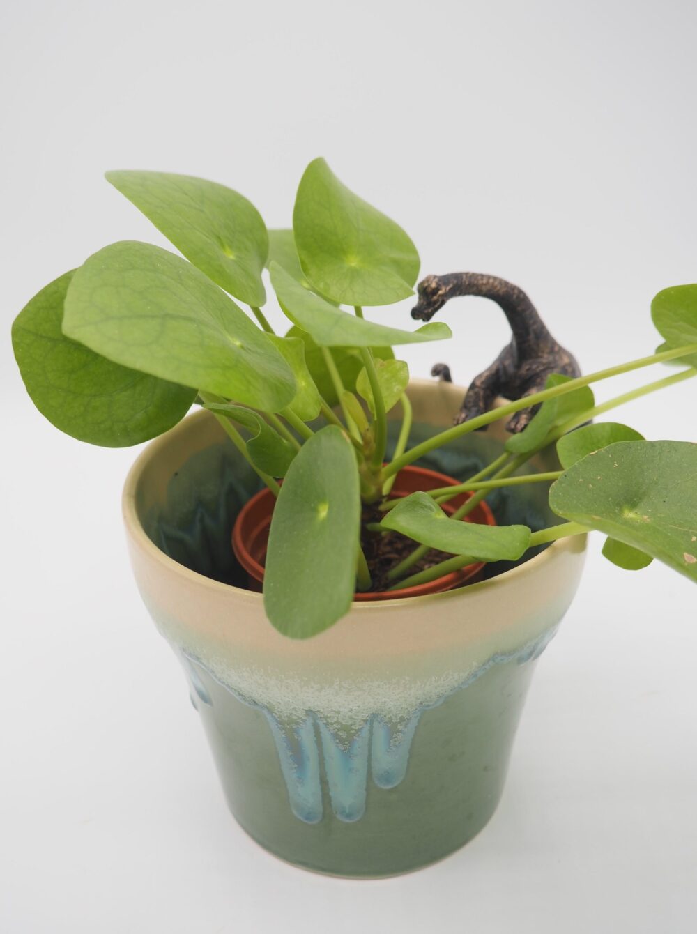 Brachiosaurus Pot Buddies Plant Pot Hanger - Image 8