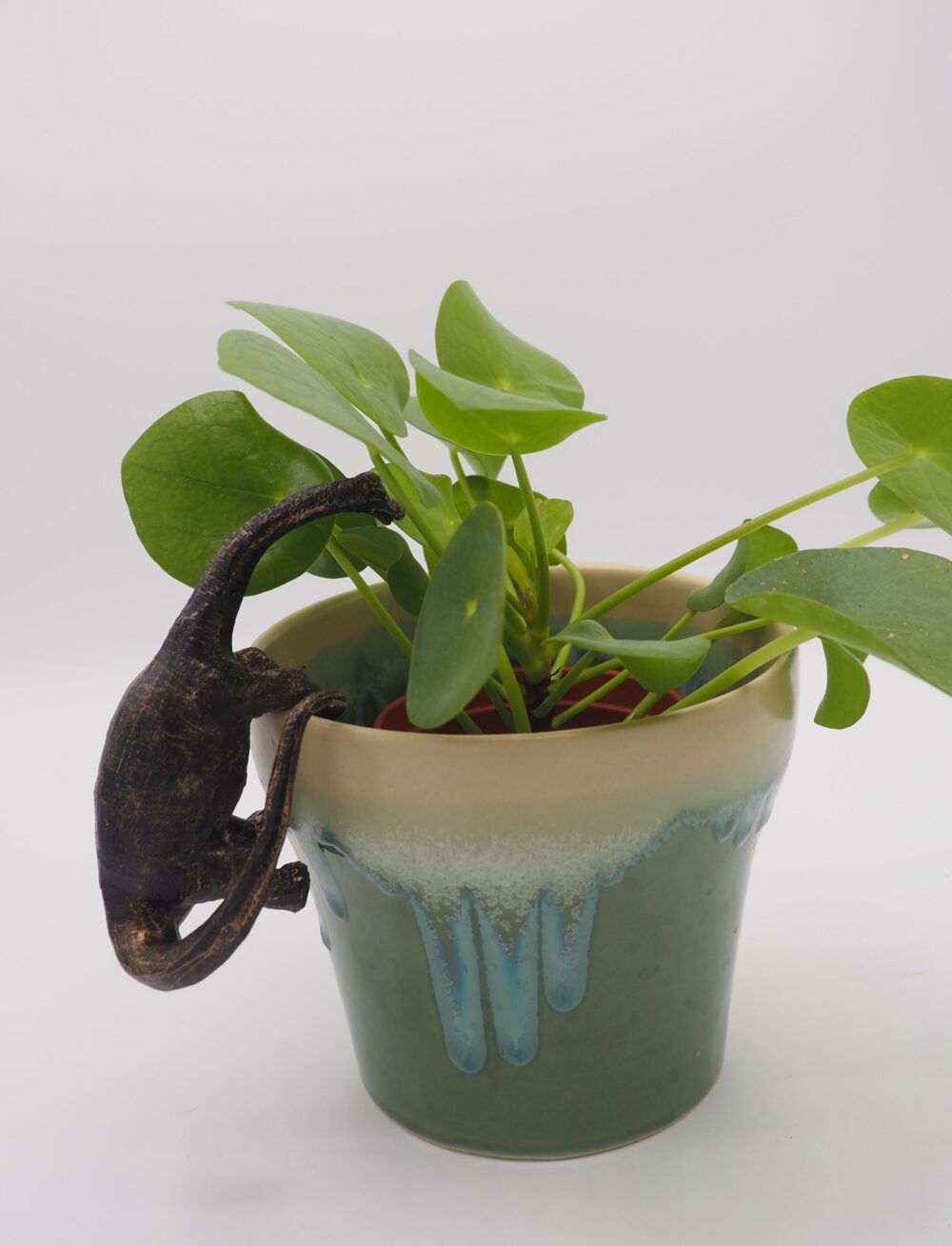 Brachiosaurus Pot Buddies Plant Pot Hanger - Image 7