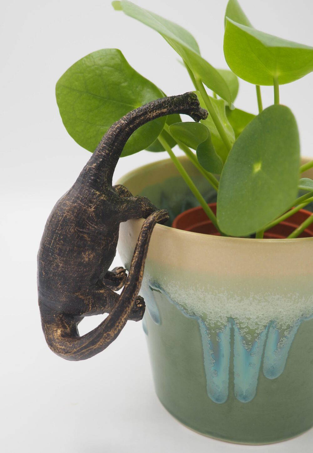 Brachiosaurus Pot Buddies Plant Pot Hanger - Image 6