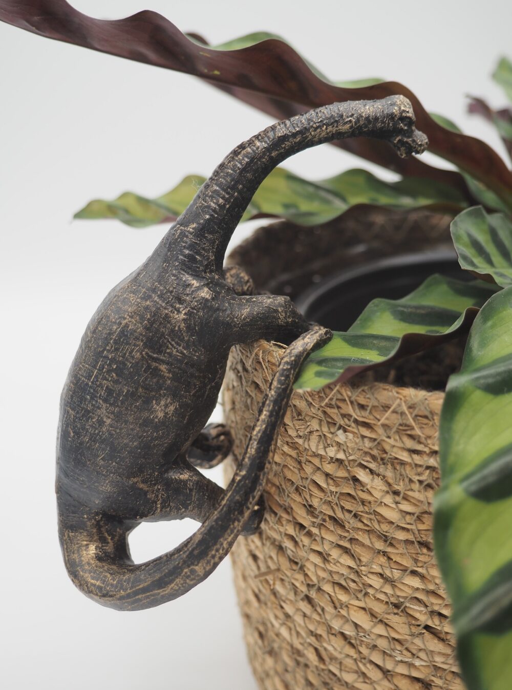 Brachiosaurus Pot Buddies Plant Pot Hanger - Image 5
