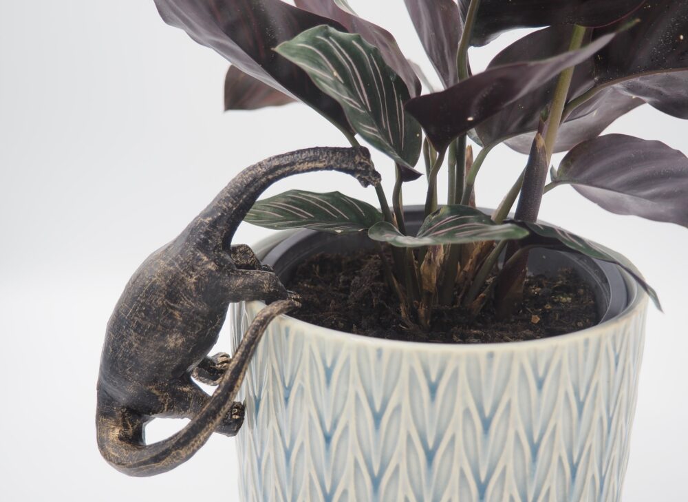 Trex, Stegosaurus, Brachiosaurus Set of Three Pot Buddies Plant Pot Hangers - Image 4