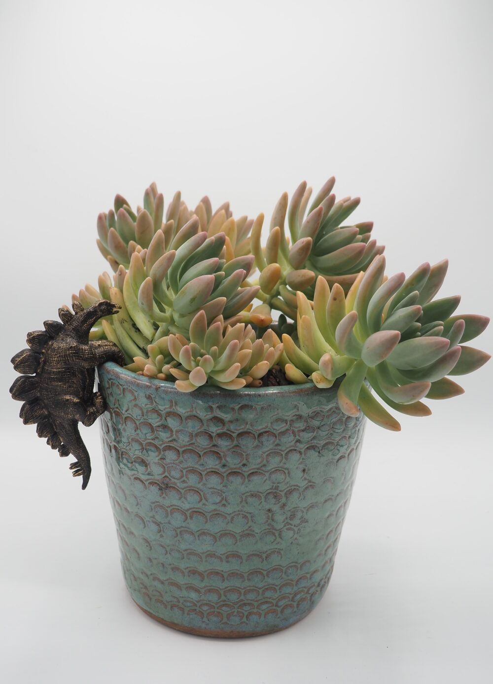 Stegosaurus Pot Buddies Plant Pot Hanger - Image 10