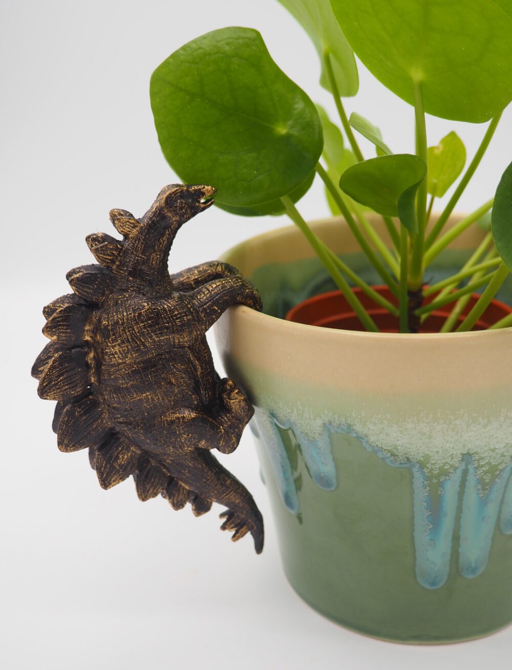 Stegosaurus Pot Buddies Plant Pot Hanger - Image 8