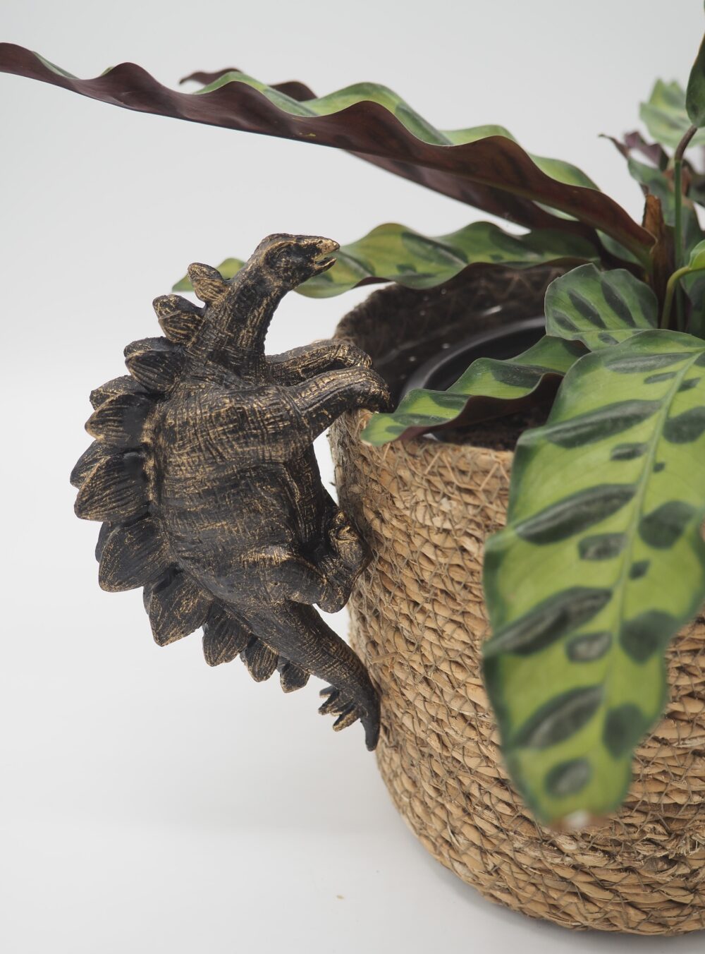 Stegosaurus Pot Buddies Plant Pot Hanger - Image 6