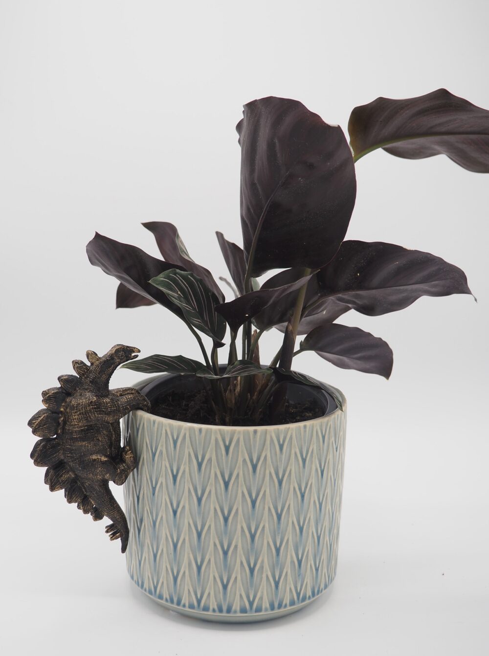 Stegosaurus Pot Buddies Plant Pot Hanger - Image 3
