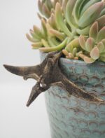 Pteranodon Pot Buddies Plant Pot Hanger