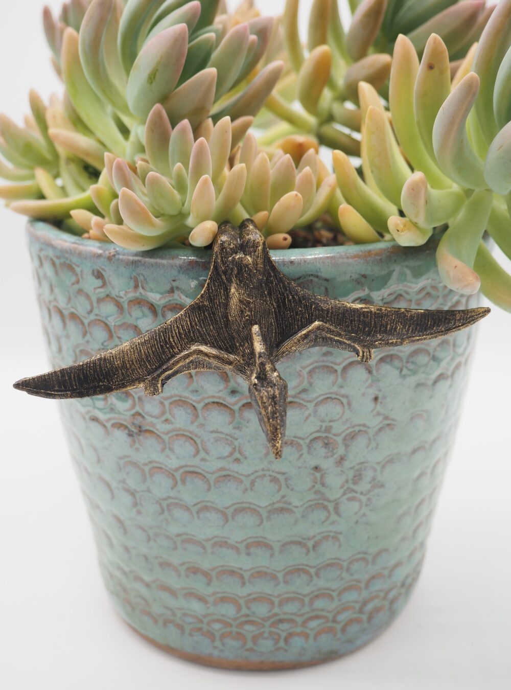 Pteranodon Pot Buddies Plant Pot Hanger - Image 10