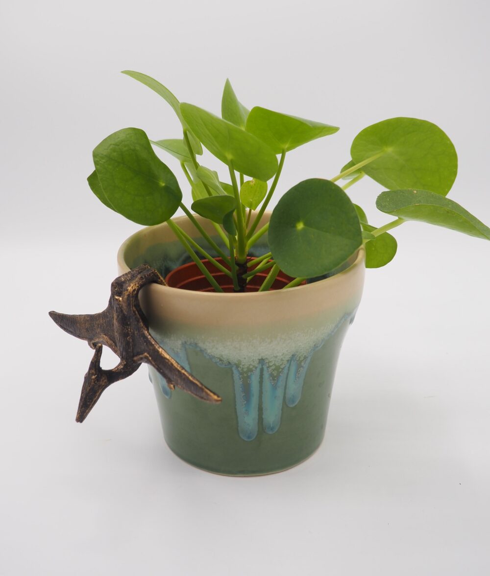 Pteranodon Pot Buddies Plant Pot Hanger - Image 9