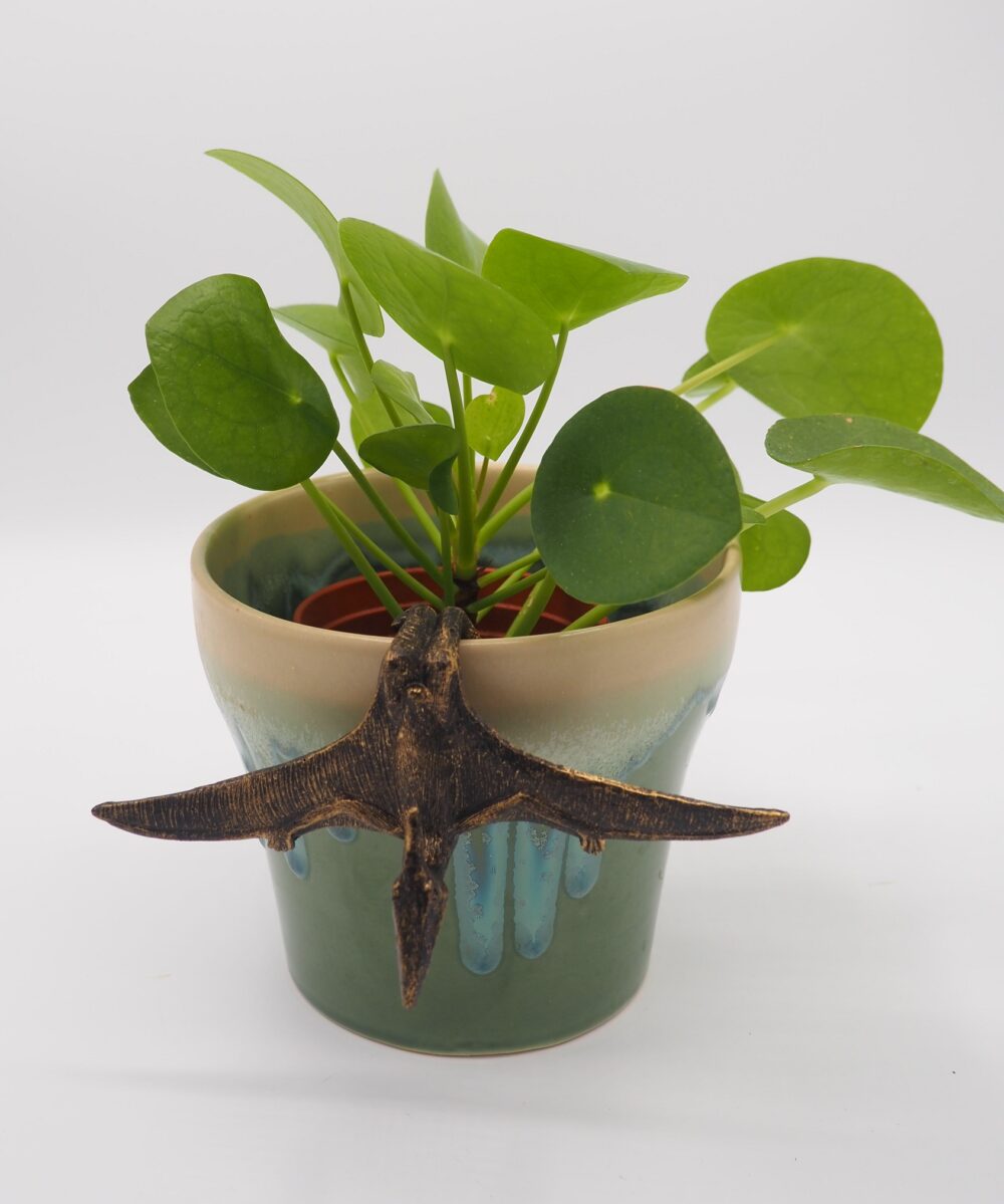Pteranodon Pot Buddies Plant Pot Hanger - Image 8