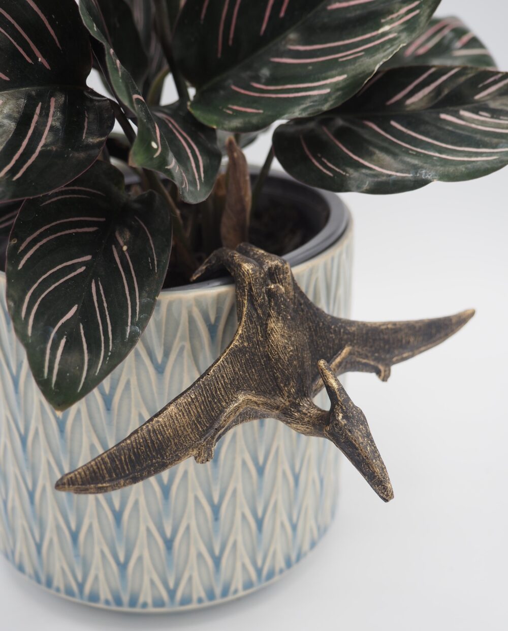 Pteranodon Pot Buddies Plant Pot Hanger - Image 5