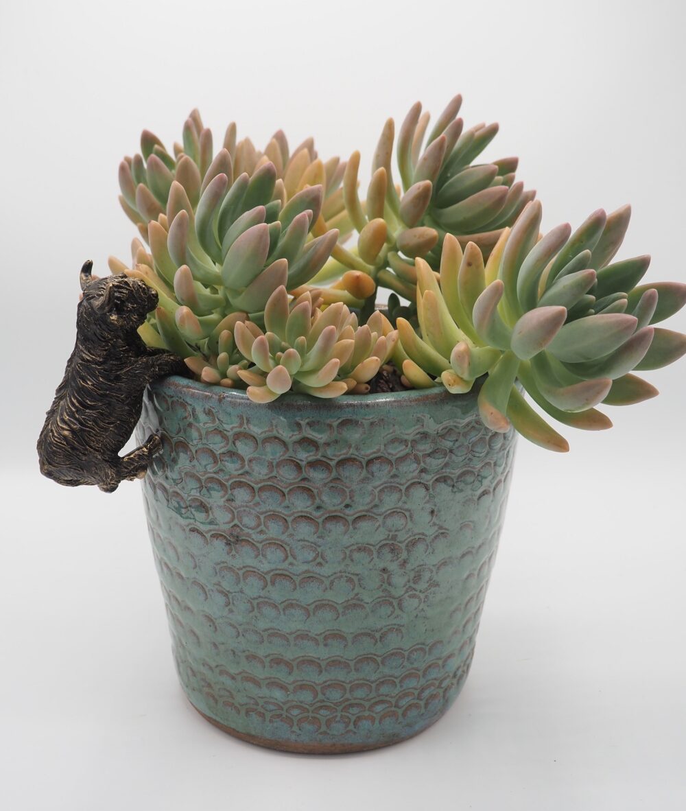 Highland Cow Pot Buddies Plant Pot Hanger - Image 9