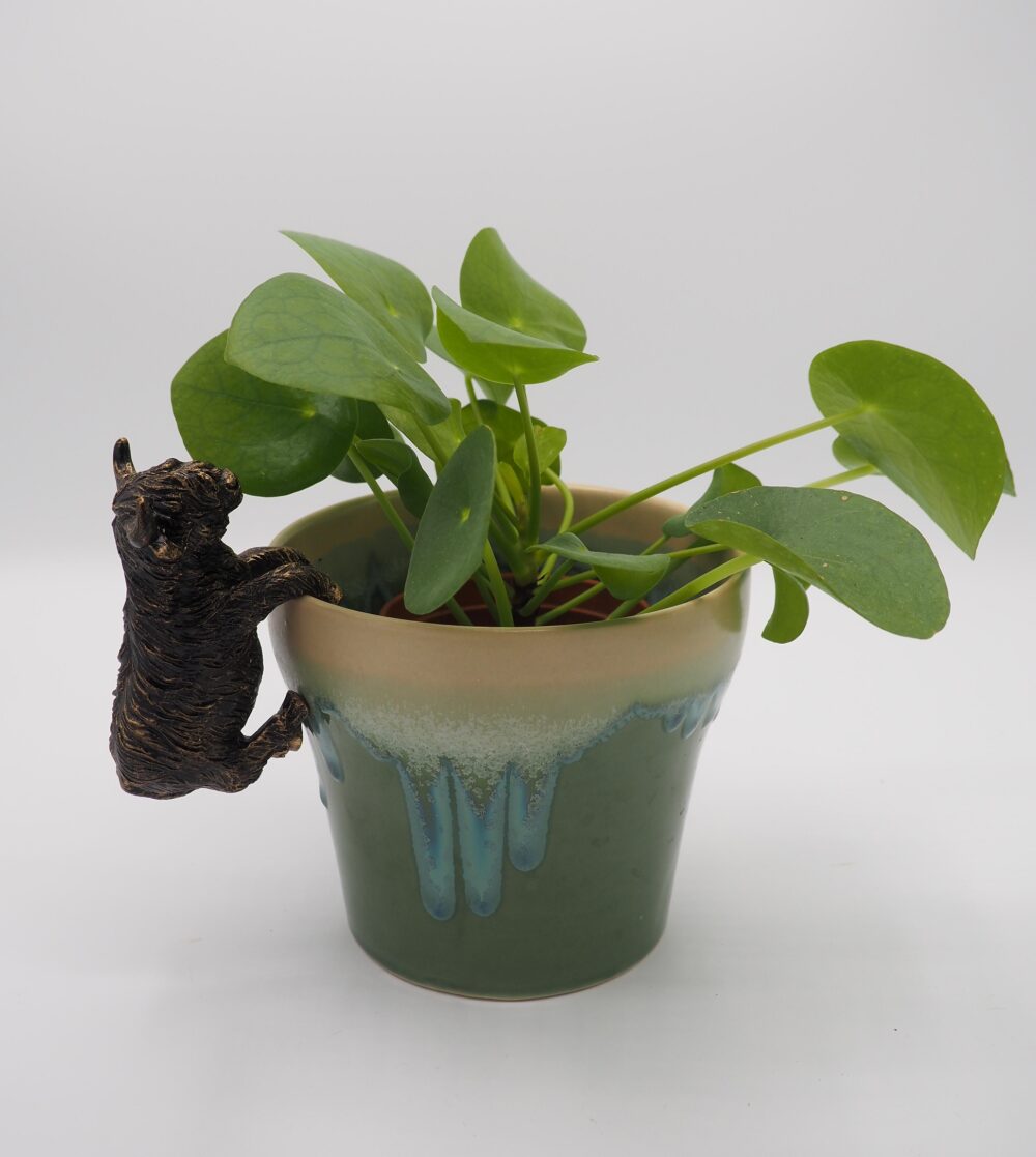 Highland Cow Pot Buddies Plant Pot Hanger - Image 8