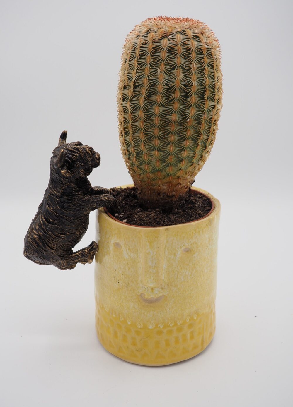Highland Cow Pot Buddies Plant Pot Hanger - Image 7