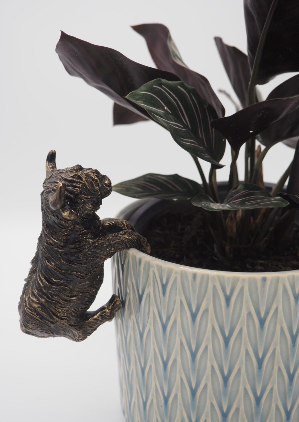 Highland Cow Pot Buddies Plant Pot Hanger - Image 4