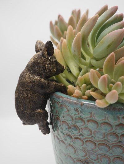 Pig Pot Buddies Plant Pot Hanger
