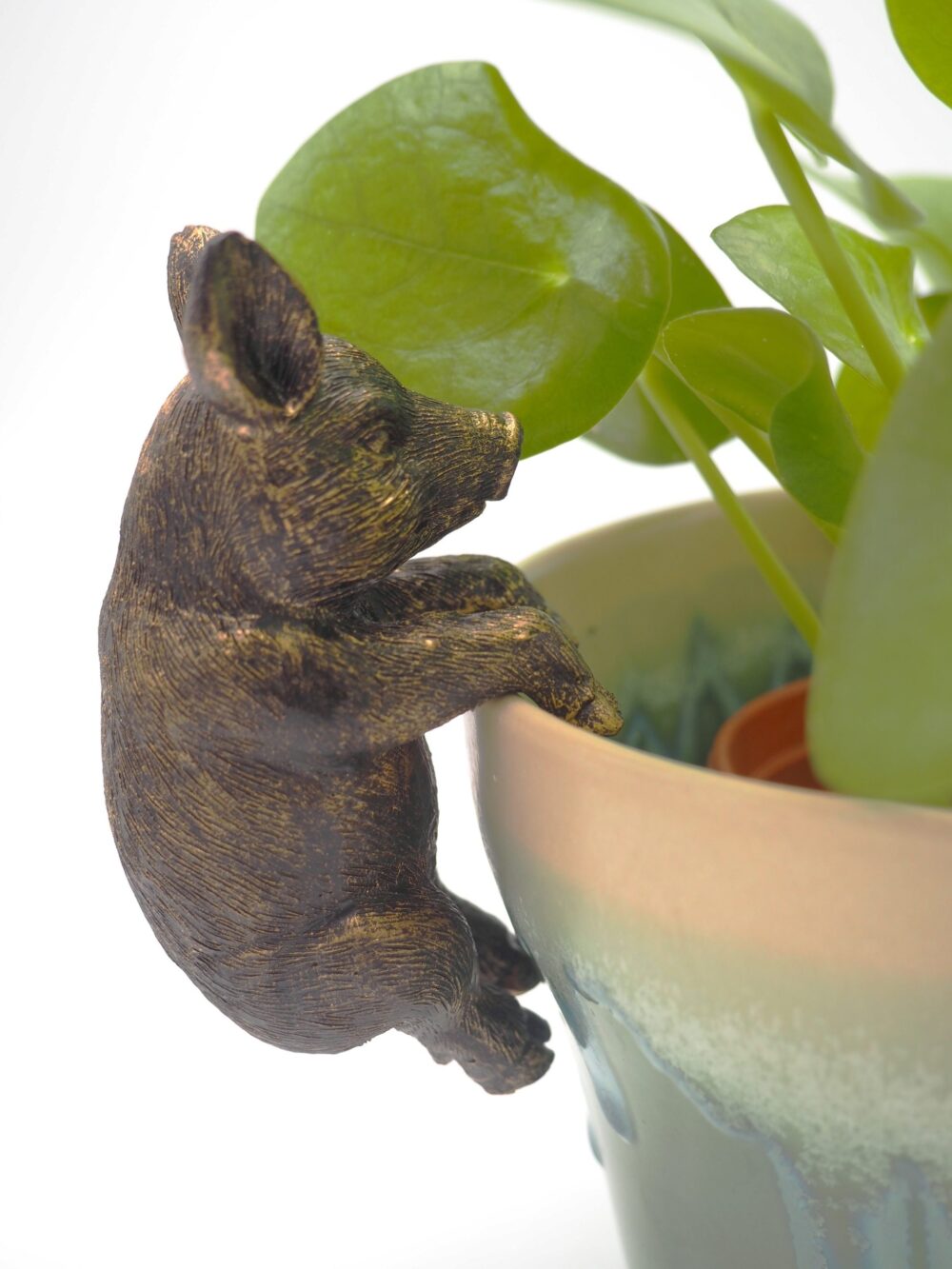 Pig Pot Buddies Plant Pot Hanger - Image 9
