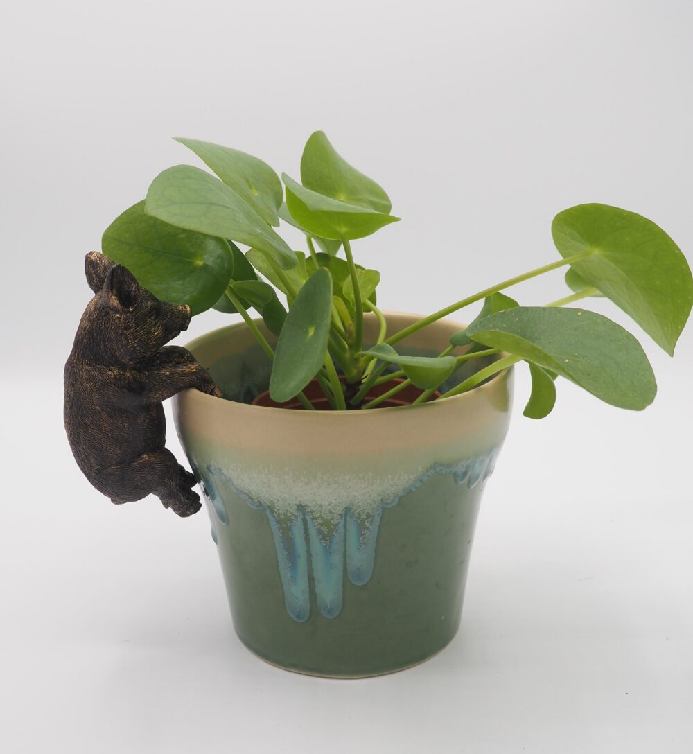 Pig Pot Buddies Plant Pot Hanger - Image 7