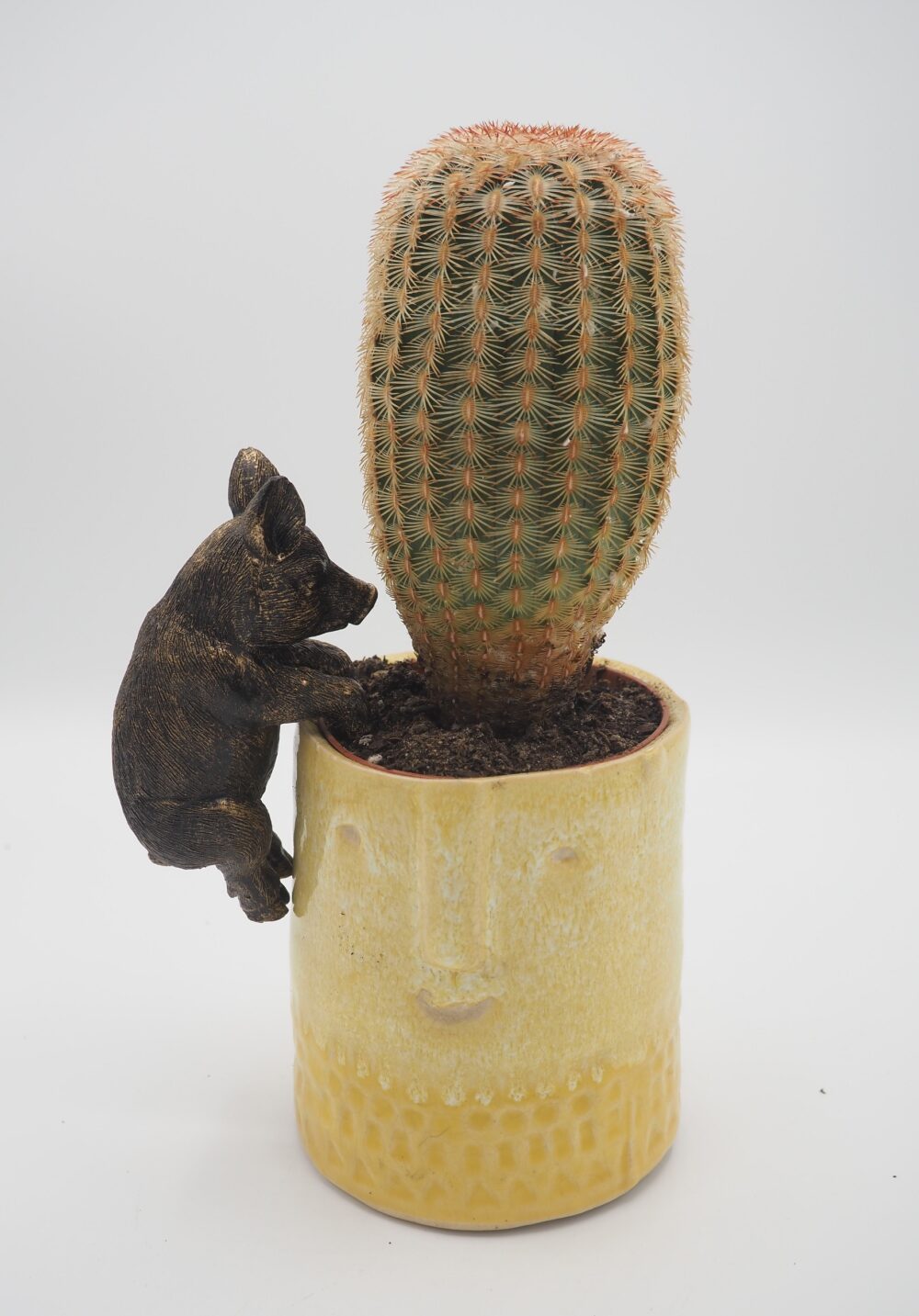 Pig Pot Buddies Plant Pot Hanger - Image 6