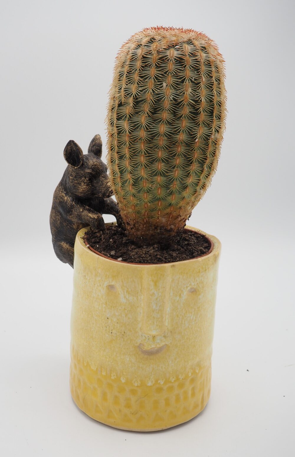 Pig Pot Buddies Plant Pot Hanger - Image 5
