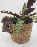 Rabbit Pot Buddies Plant Pot Hanger