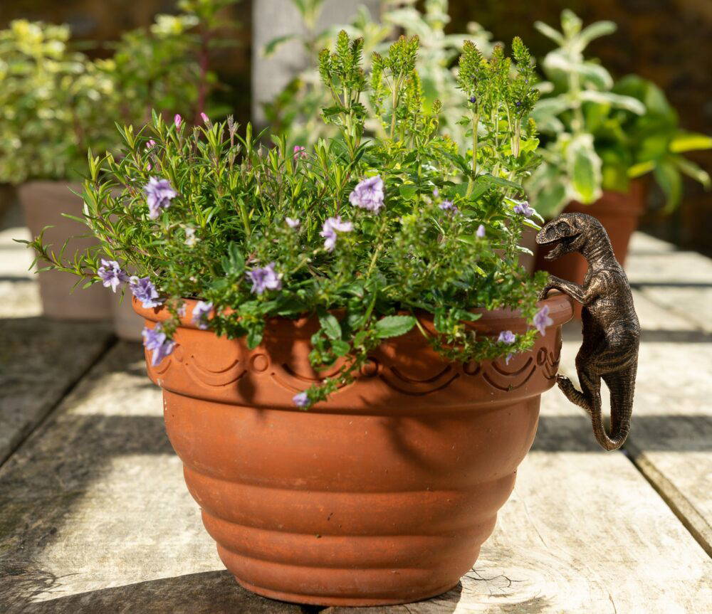 Velociraptor, Triceratops, Pteranodon Set of Three Pot Buddies Plant Pot Hangers - Image 8