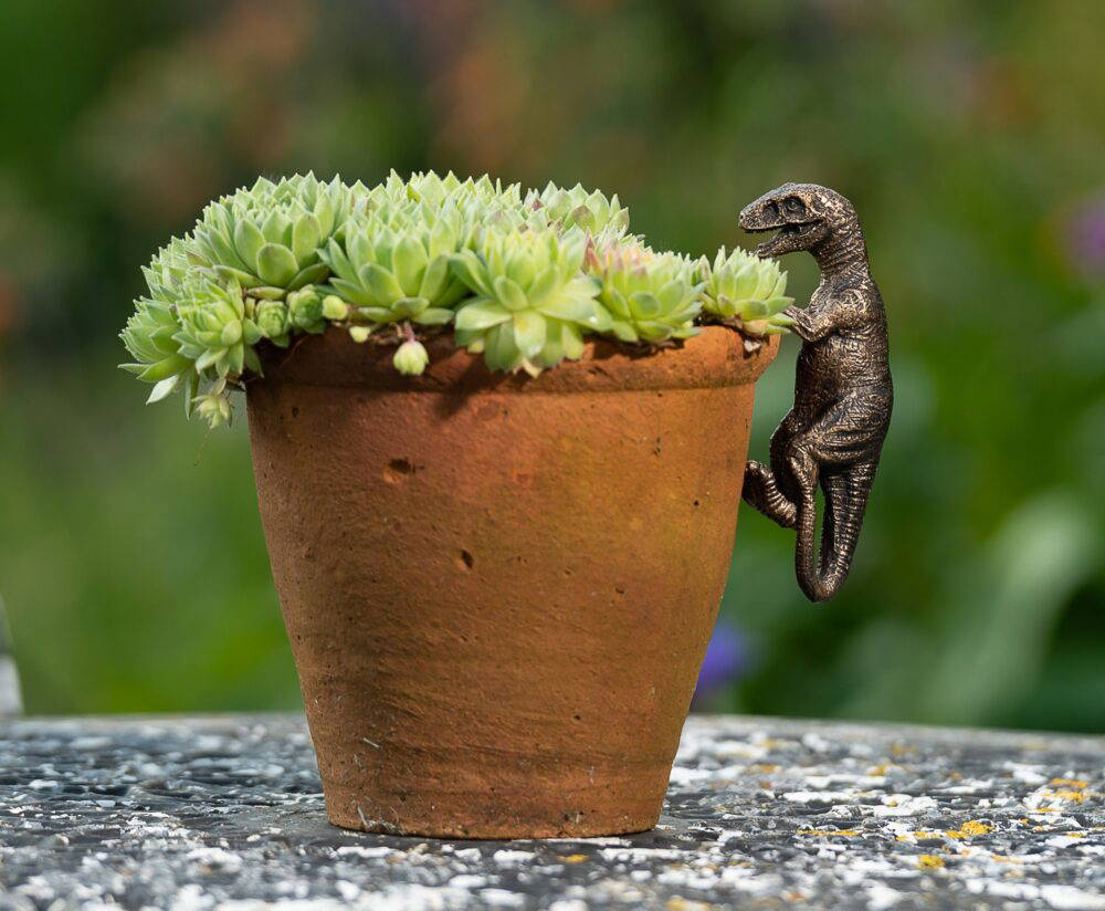Velociraptor, Triceratops, Pteranodon Set of Three Pot Buddies Plant Pot Hangers - Image 9
