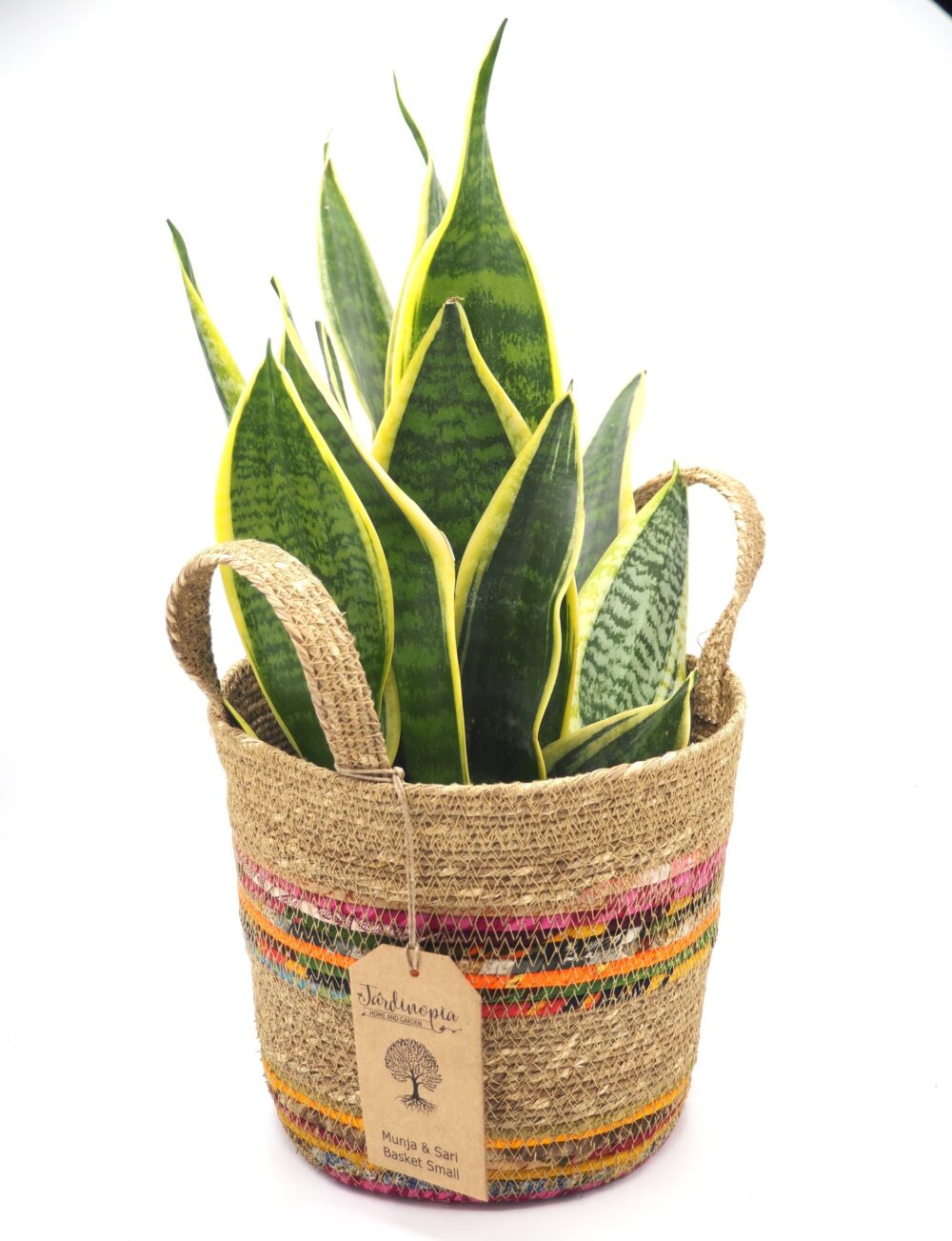 Munja And Reclaimed Fabric Eco Plant Pot Cover With Handles - Set Of 3 - Image 5