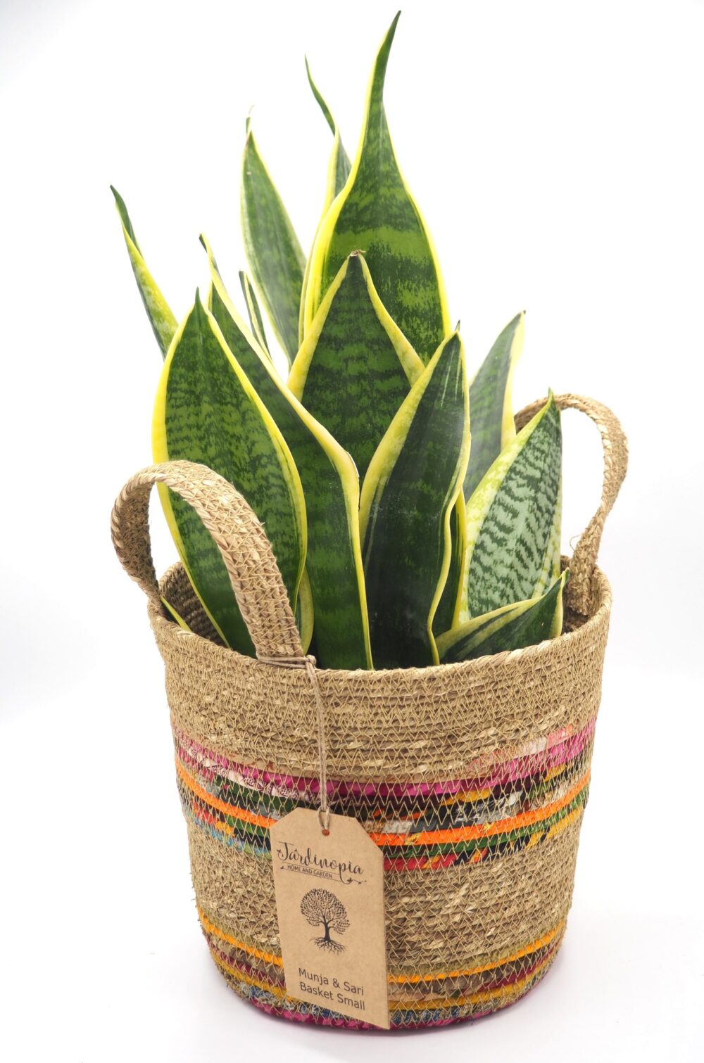 Munja And Reclaimed Fabric Eco Plant Pot Cover With Handles - Medium - Image 4