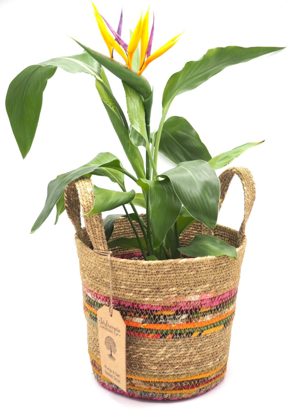 Munja And Reclaimed Fabric Eco Plant Pot Cover With Handles - Medium - Image 5