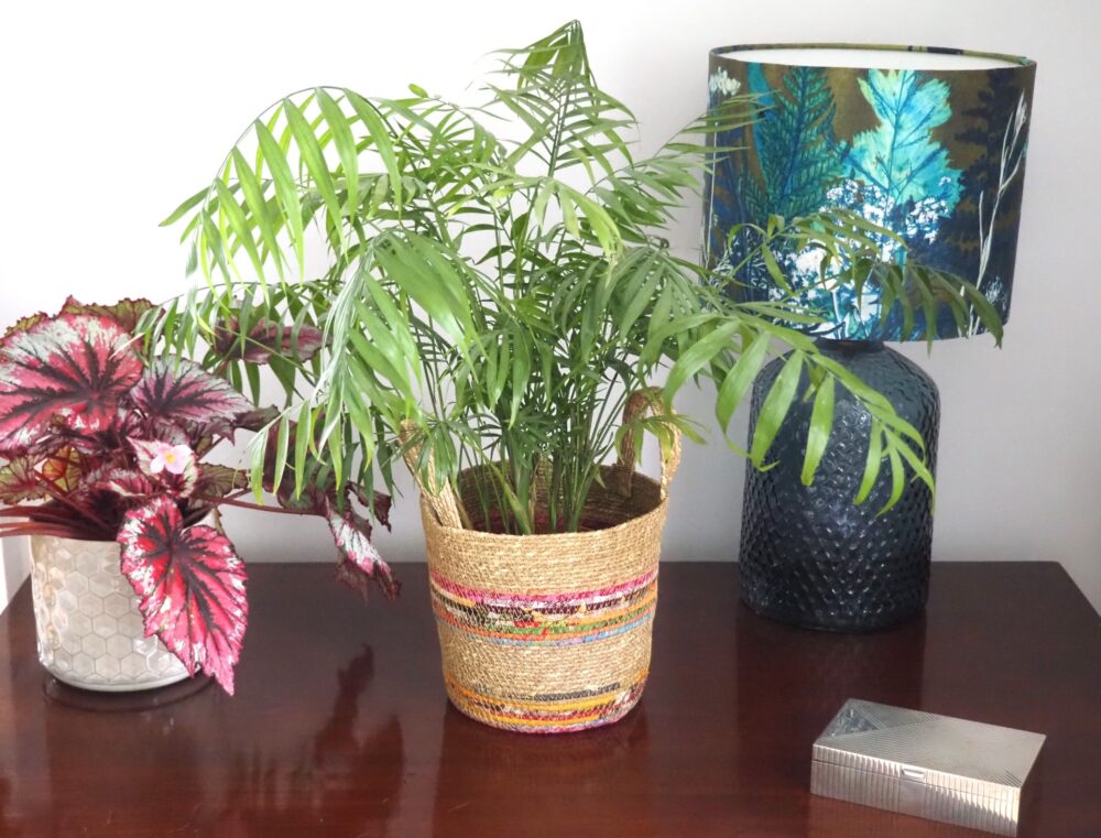 Munja And Reclaimed Fabric Eco Plant Pot Cover With Handles - Small - Image 2