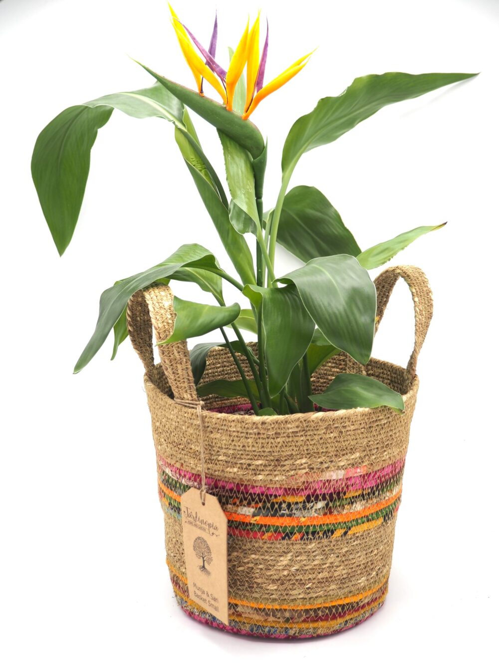 Munja And Reclaimed Fabric Eco Plant Pot Cover With Handles - Small - Image 5