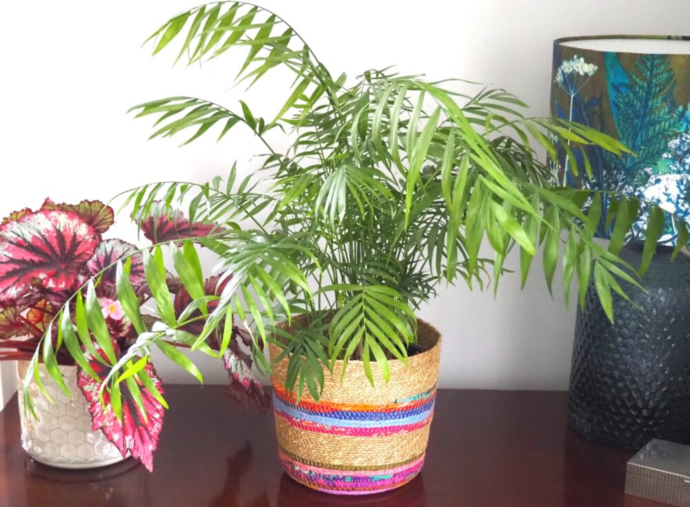Munja And Reclaimed Fabric Eco Planter With Removable Metal Liner - Set Of 3 - Image 10